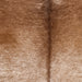 Closeup of this XL Speckled Brazilian Cowhide, showing brown with white speckles (BRSP3775)