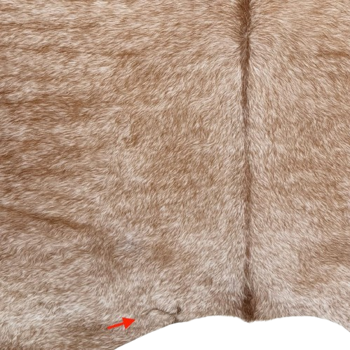 Closeup of this XL Brown and White Speckled Brazilian Cowhide, showing one brand mark on the left side of the butt  (BRSP3775)