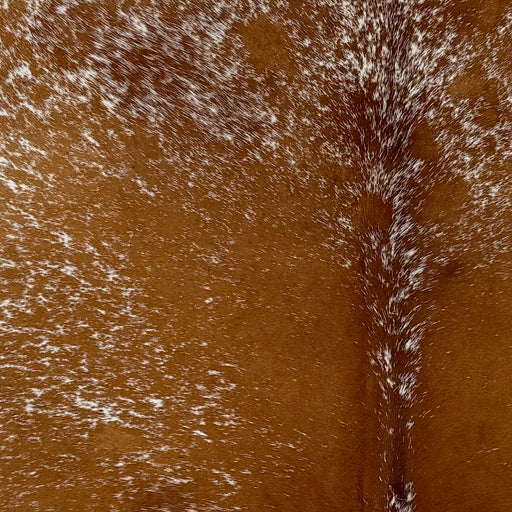 Closeup of this Speckled Brazilian Cowhide, showing white with reddish brown speckles and spots (BRSP3776)