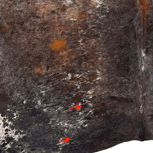 Closeup of this Tricolor Speckled Brazilian Cowhide, showing two brand marks on the left side of the butt (BRSP3778)