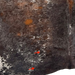 Closeup of this Tricolor Speckled Brazilian Cowhide, showing two brand marks on the left side of the butt (BRSP3778)