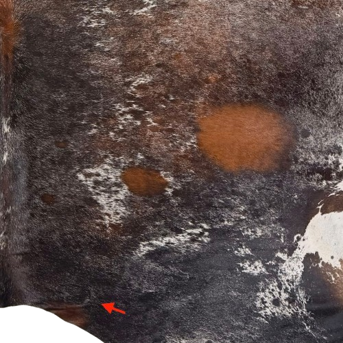 Closeup of this Tricolor Speckled Brazilian Cowhide, showing one brand mark on the right side of the butt (BRSP3778)