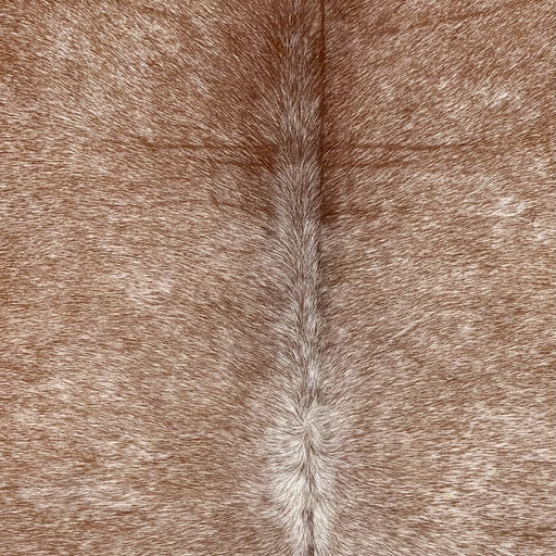 Closeup of t his XL Speckled Brazilian Cowhide, showing brown with white speckles (BRSP3782)