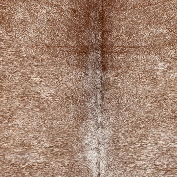 Closeup of t his XL Speckled Brazilian Cowhide, showing brown with white speckles (BRSP3782)
