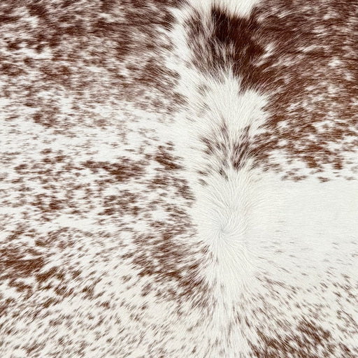 Closeup of this Large Speckled Brazilian Cowhide, showing white with brown speckles and spots (BRSP3784)