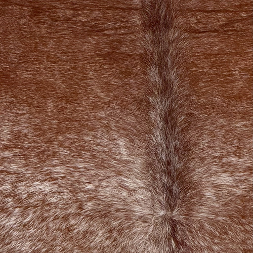 Closeup of this XL Speckled Brazilian Cowhide, showing reddish brown with white speckles (BRSP3785)