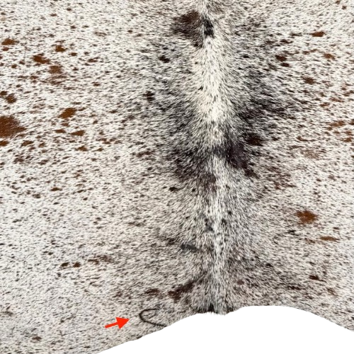 Closeup of this Large Tricolor Speckled Brazilian Cowhide, showing one brand mark on the left side of the butt (BRSP3786)