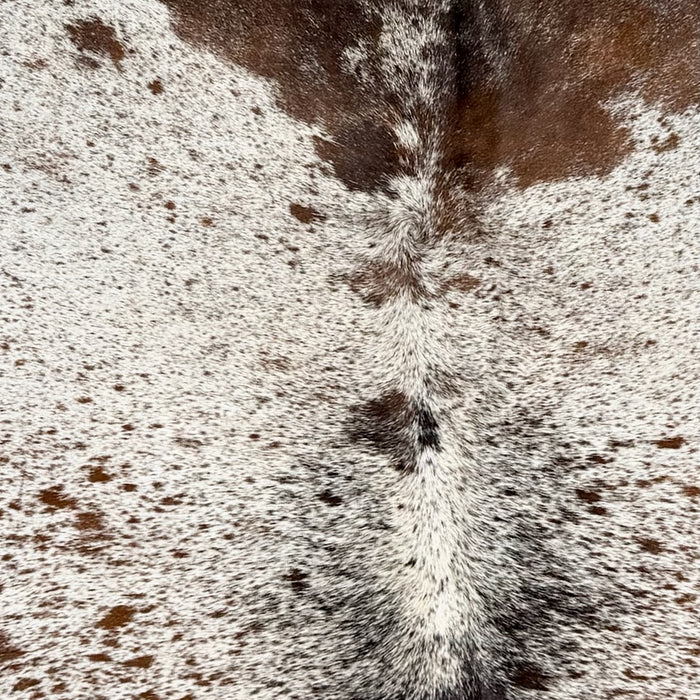 Closeup of this Large Tricolor Speckled Brazilian Cowhide, showing white with brown and black speckles and spots (BRSP3786)