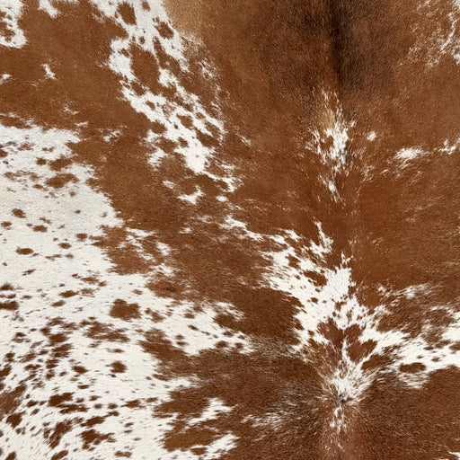 Closeup of this Large Speckled Brazilian Cowhide, showing white and off-white with reddish brown speckles and spots (BRSP3787)