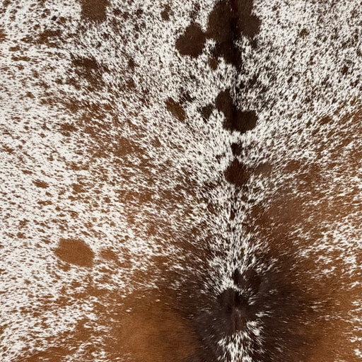 Closeup of this Speckled Brazilian Cowhide, showing white with reddish brown and dark brown speckles and spots  (BRSP3788)