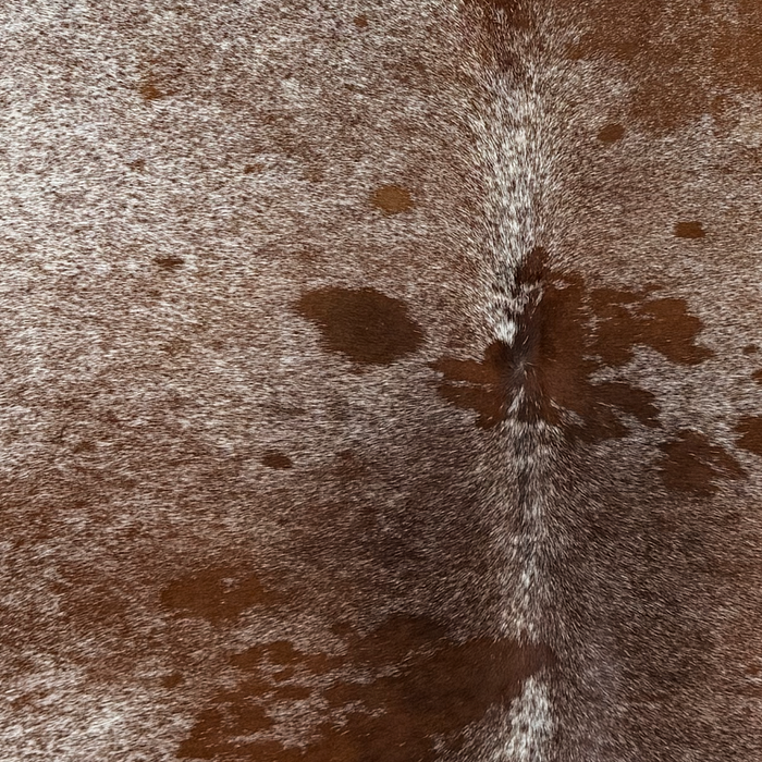 Closeup of this Large Speckled Brazilian Cowhide, showing white with reddish brown and black speckles and spots (BRSP3789)