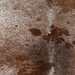 Closeup of this Large Speckled Brazilian Cowhide, showing white with reddish brown and black speckles and spots (BRSP3789)