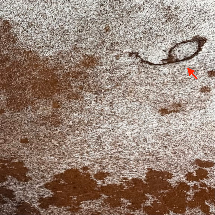 Closeup of this Large Reddish Brown and White Speckled Brazilian Cowhide, showing one brand mark on the right side of the back (BRSP3789)