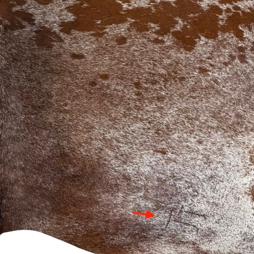 Closeup of this Large Reddish Brown and White Speckled Brazilian Cowhide, showing one brand mark on the right side of the butt (BRSP3789)