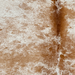 Closeup of this Large Caramel and White Speckled Brazilian Cowhide, showing white with caramel speckles and spots, and reddish brown spots on part of the spine (BRSP3790)
