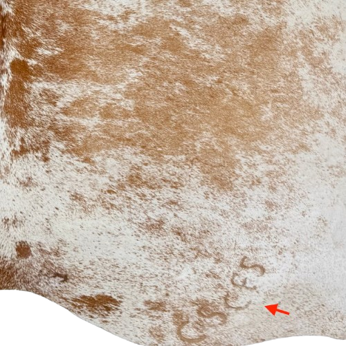 Closeup of this Large Caramel and White Speckled Brazilian Cowhide, showing one brand mark on the right side of the butt  (BRSP3790)