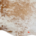 Closeup of this Large Caramel and White Speckled Brazilian Cowhide, showing one brand mark on the right side of the butt  (BRSP3790)