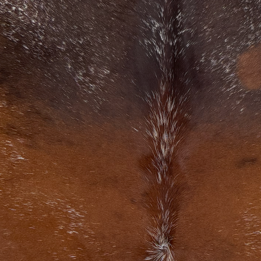 Closeup of this Speckled Brazilian Cowhide, showing reddish brown and dark brown, with white speckles (BRSP3794)