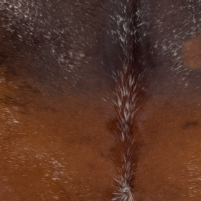 Closeup of this Speckled Brazilian Cowhide, showing reddish brown and dark brown, with white speckles (BRSP3794)