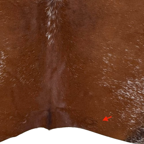 Closeup of this Speckled Brazilian Cowhide, showing one brand mark on the left side of the butt (BRSP3794)