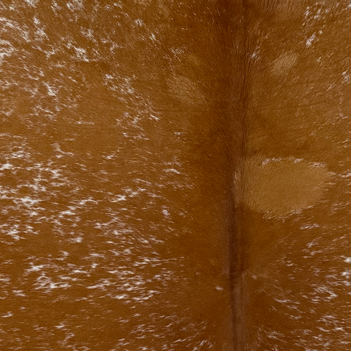 Closeup of this Large Speckled Brazilian Cowhide, showing reddish brown with white speckles and spots (BRSP3795)