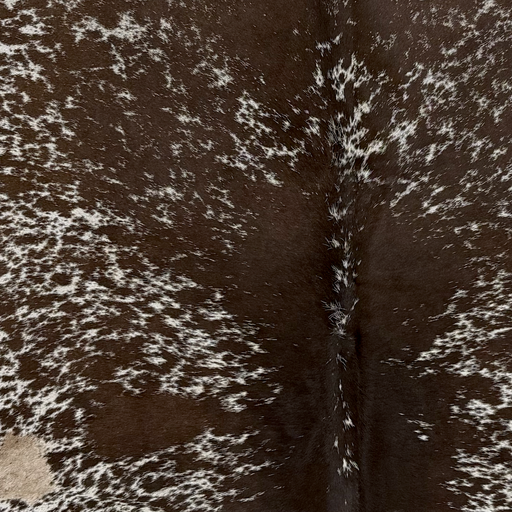 Closeup of this Large Speckled Brazilian Cowhide, showing white with dark brown speckles and spots (BRSP3796)