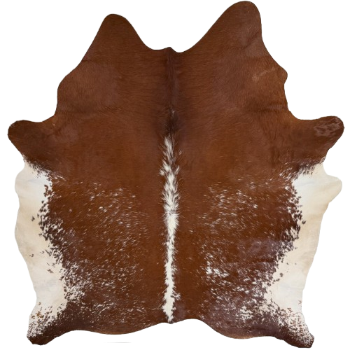 Large Brown and White Speckled Brazilian Cowhide: brown with white speckles, white down the spine, and off-white on the belly - 7'8" x 6'2"  (BRSP3797)