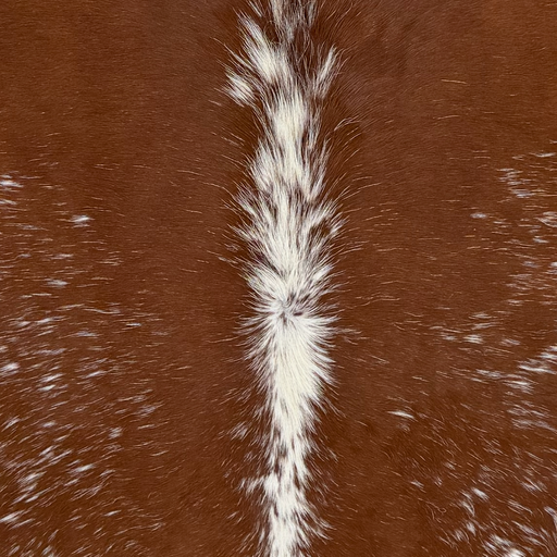 Closeup of this Large Speckled Brazilian Cowhide, showing brown with white speckles, white down the spine  (BRSP3797)