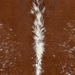 Closeup of this Large Speckled Brazilian Cowhide, showing brown with white speckles, white down the spine  (BRSP3797)