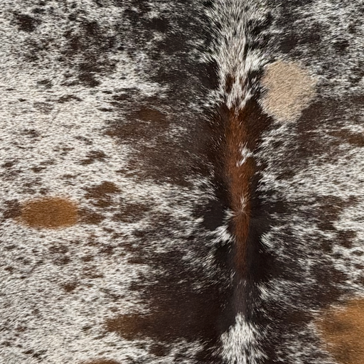 Closeup of t his Large Tricolor Speckled Brazilian Cowhide, showing white with black and brown speckles and spots  (BRSP3798)