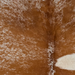 Closeup of this XL Speckled Brazilian Cowhide, showing white with golden brown speckles and spots (BRSP3801)