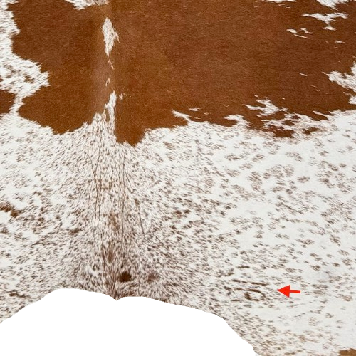 Closeup of this reddish brown and white Cloudy Speckled Brazilian Cowhide, showing one brand mark on the left side of the butt (BRSP3805)