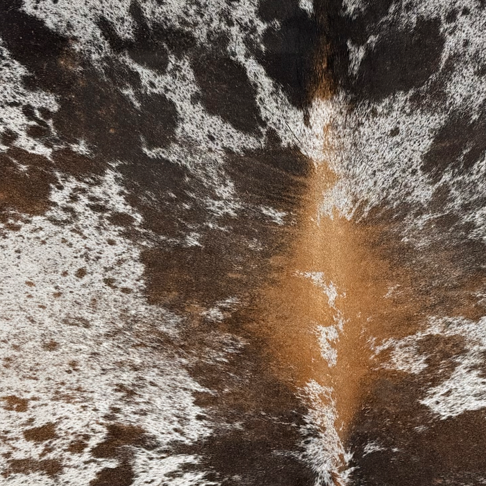 Closeup of this Tricolor Speckled Brazilian Cowhide, showing off-white with brown and black speckles and spots (BRSP3806)