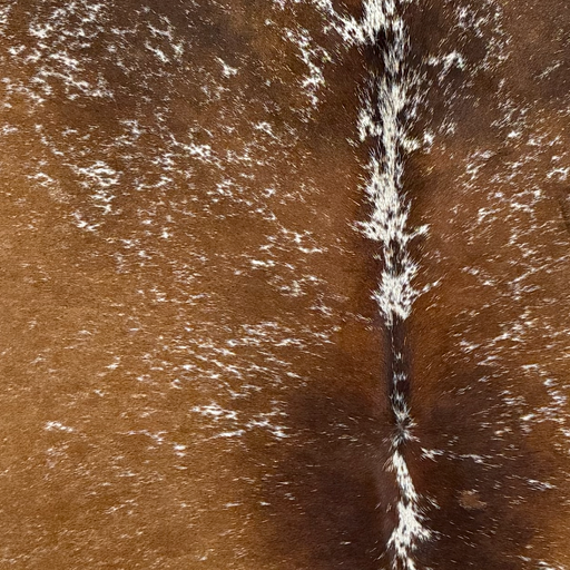 Closeup of this Large Speckled Brazilian Cowhide, showing brown with white speckles and spots (BRSP3808)
