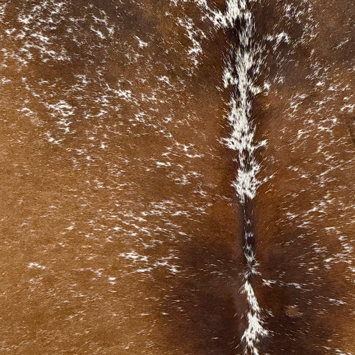 Closeup of this Large Speckled Brazilian Cowhide, showing brown with white speckles and spots (BRSP3808)