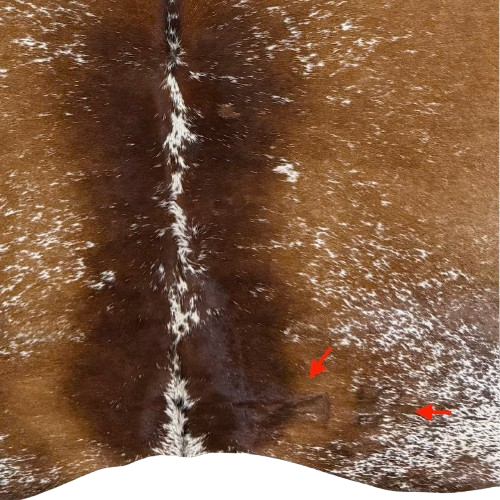 Closeup of this Large Speckled Brazilian Cowhide, showing two brand marks on the right side of the butt (BRSP3808)