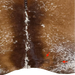 Closeup of this Large Speckled Brazilian Cowhide, showing two brand marks on the right side of the butt (BRSP3808)