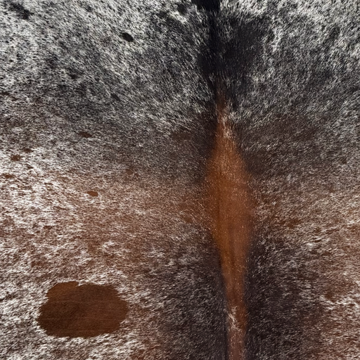 Closeup of this Large Tricolor Speckled Brazilian Cowhide, showing white with reddish brown and black speckles and spots (BRSP3809)