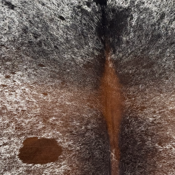 Closeup of this Large Tricolor Speckled Brazilian Cowhide, showing white with reddish brown and black speckles and spots (BRSP3809)