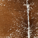 Closeup of this Large Speckled Brazilian Cowhide, showing brown with white speckles and spot (BRSP3810)