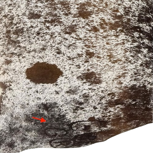 Closeup of this Tricolor Speckled Brazilian Cowhide, showing two brand marks on the left side of the butt (BRSP3813)