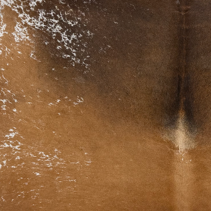 Closeup of this Speckled Brazilian Cowhide, showing brown with white speckles and spots (BRSP3815)