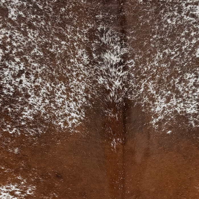 Closeup of this Speckled Brazilian Cowhide, showing white with reddish brown speckles and spots on the back, and chocolate speckles on the shoulder (BRSP3818)