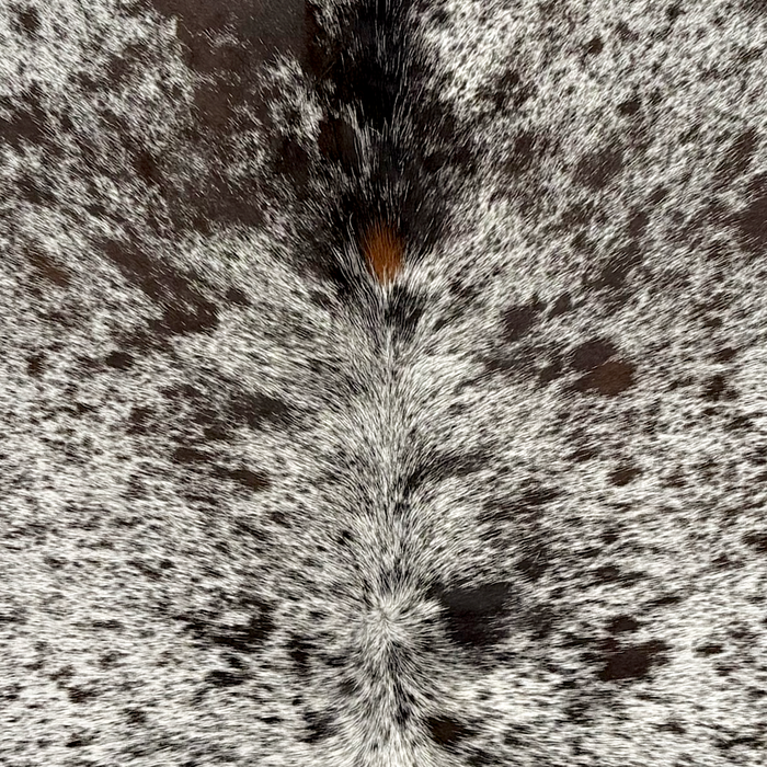 Closeup of this Tricolor Speckled Brazilian Cowhide, showing white with black and blackish brown speckles and spots  (BRSP3819)