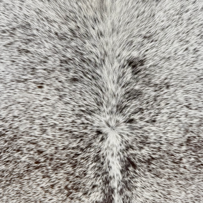 Closeup of this XXL Tricolor Speckled Brazilian Cowhide, showing white with black and dark brown speckles (BRSP3820)