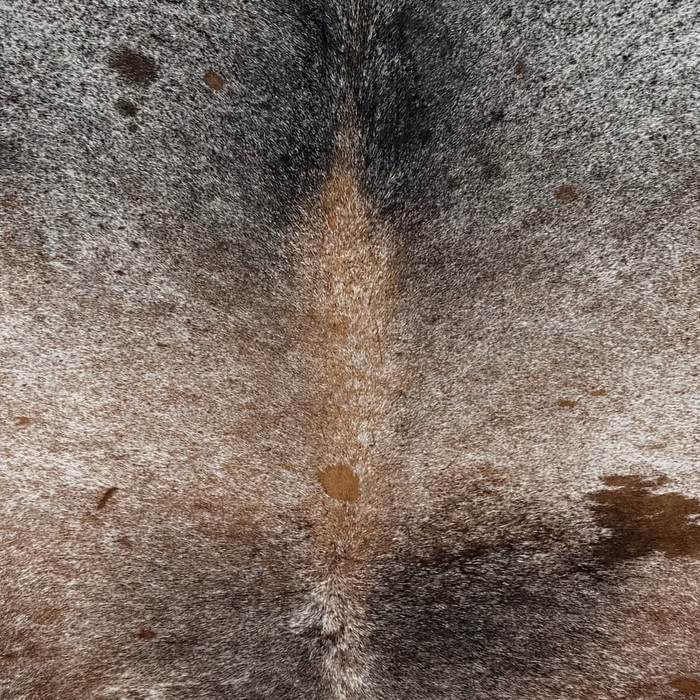 Closeup of this Tricolor Speckled Brazilian Cowhide, showing white with black and brown speckles and spots (BRSP3822)