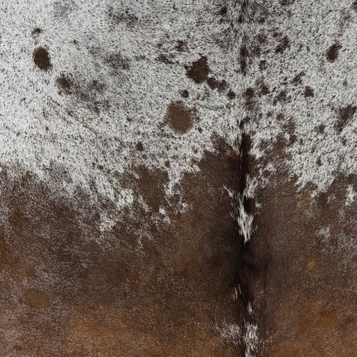 Closeup of this Tricolor Speckled Brazilian Cowhide, showing a mix of brown and black, and white with brown and black speckles and spots on the shoulder  (BRSP3823)