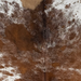 Closeup of this Large Speckled Brazilian Cowhide, showing white with reddish brown speckles and spots (BRSP3824)