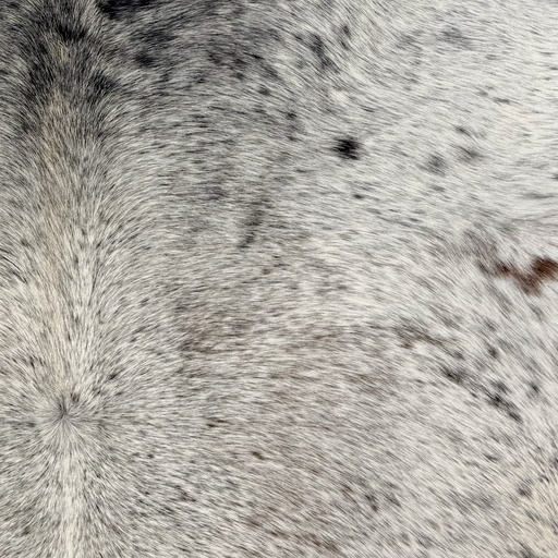 Closeup of this Tricolor Speckled Brazilian Cowhide, showing white with black and dark brown speckles and spots  (BRSP3826)