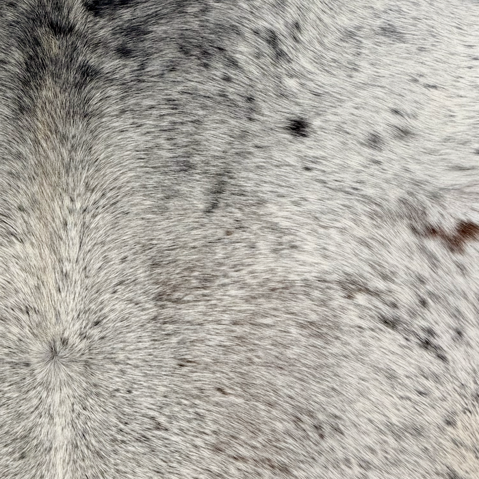 Closeup of this Tricolor Speckled Brazilian Cowhide, showing white with black and dark brown speckles and spots  (BRSP3826)